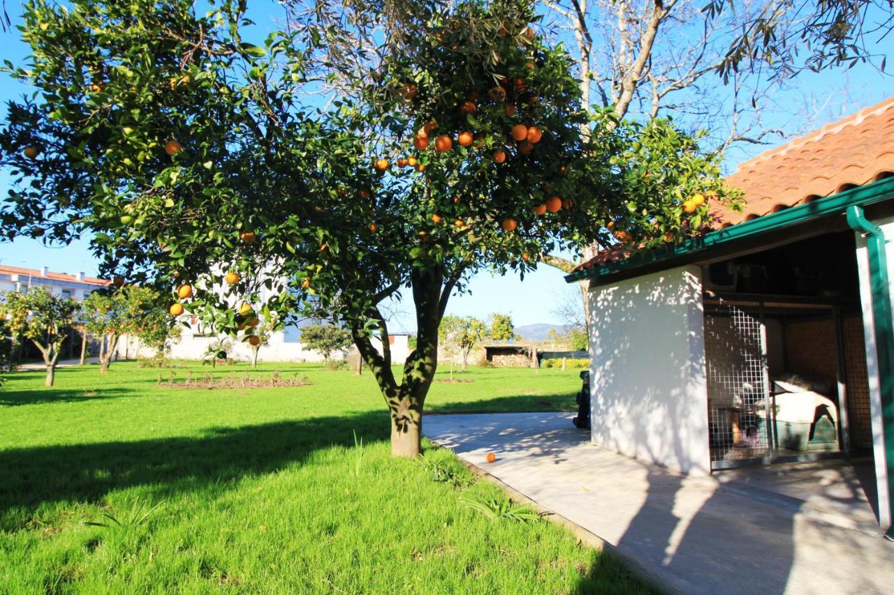 Casa Dos Ouricos Villa Ponte de Lima Eksteriør bilde
